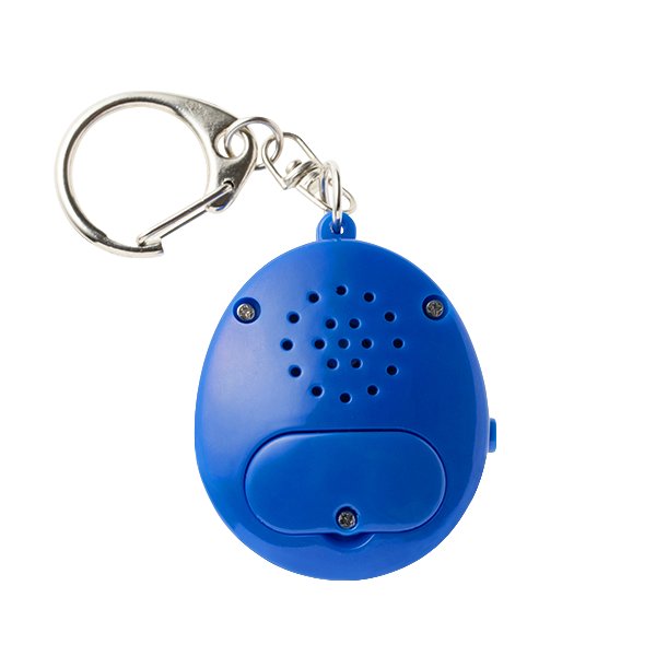 VOICE KEYCHAIN