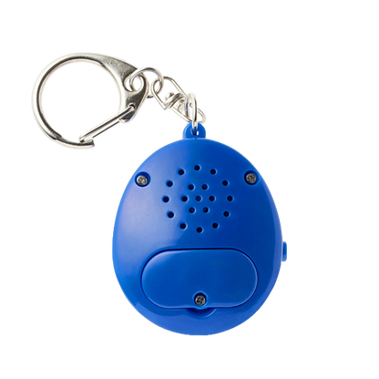 VOICE KEYCHAIN